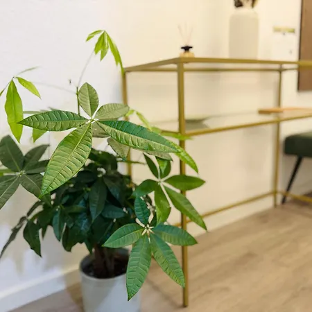 Wohlfuehl-apartment Daire *