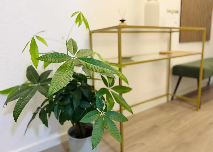 Wohlfuehl-apartment Daire *